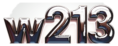 w213 logo